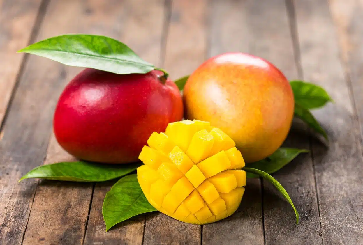 Les secrets insoupçonnés du noyau de mangue usages et bienfaits