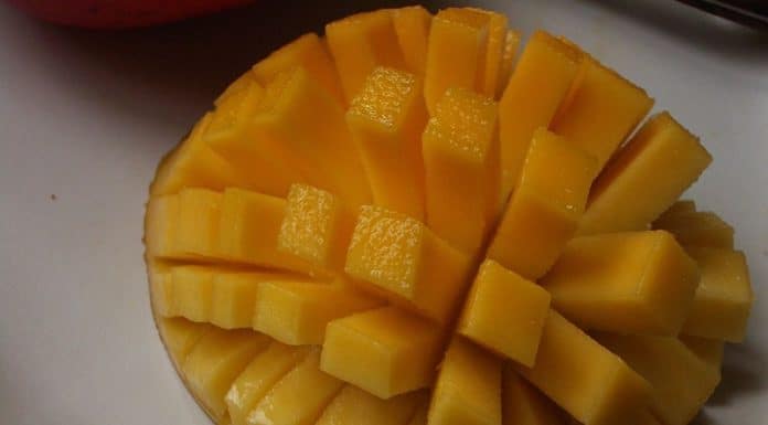 Les secrets insoupçonnés du noyau de mangue usages et bienfaits